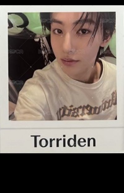 torriden代言卡