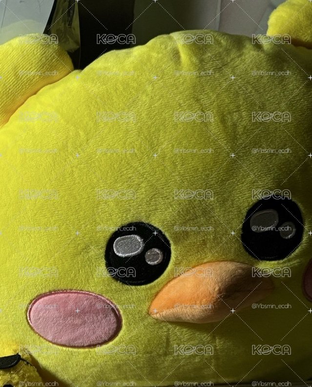 採抱枕