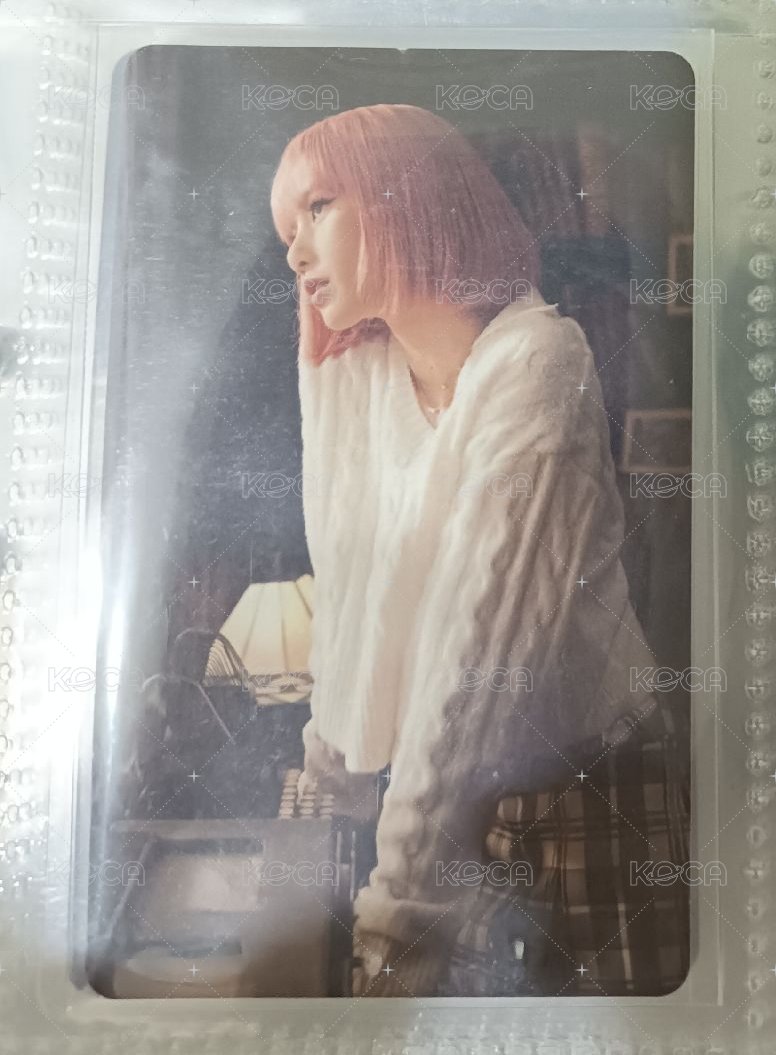 白衣一張