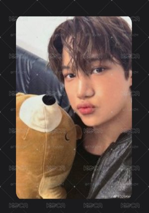 KAI SW抱熊幸運卡