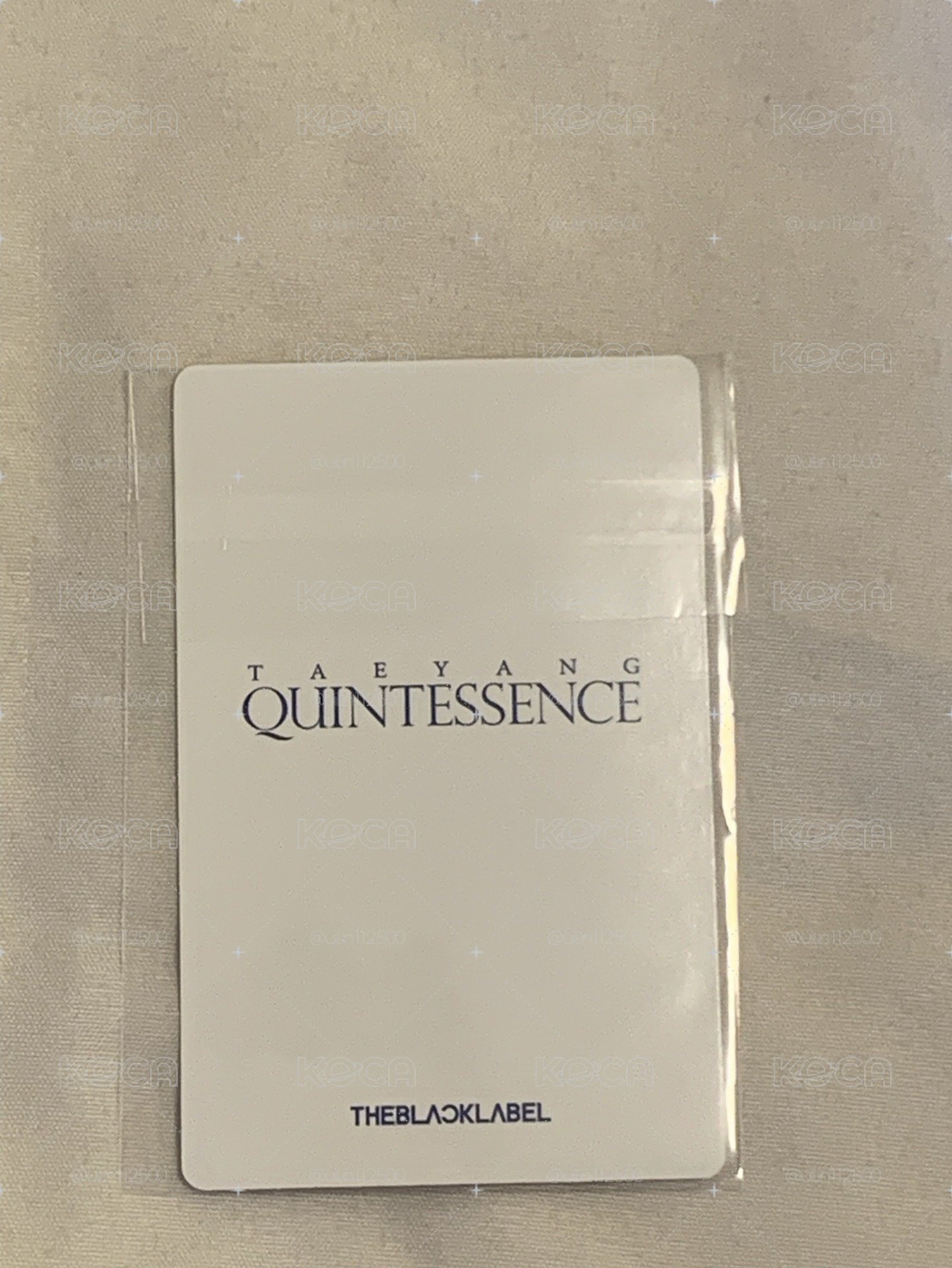 Taeyang Quintessence 台北快閃店絲巾小卡