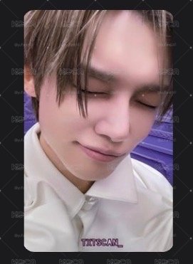 閉眼小貓
