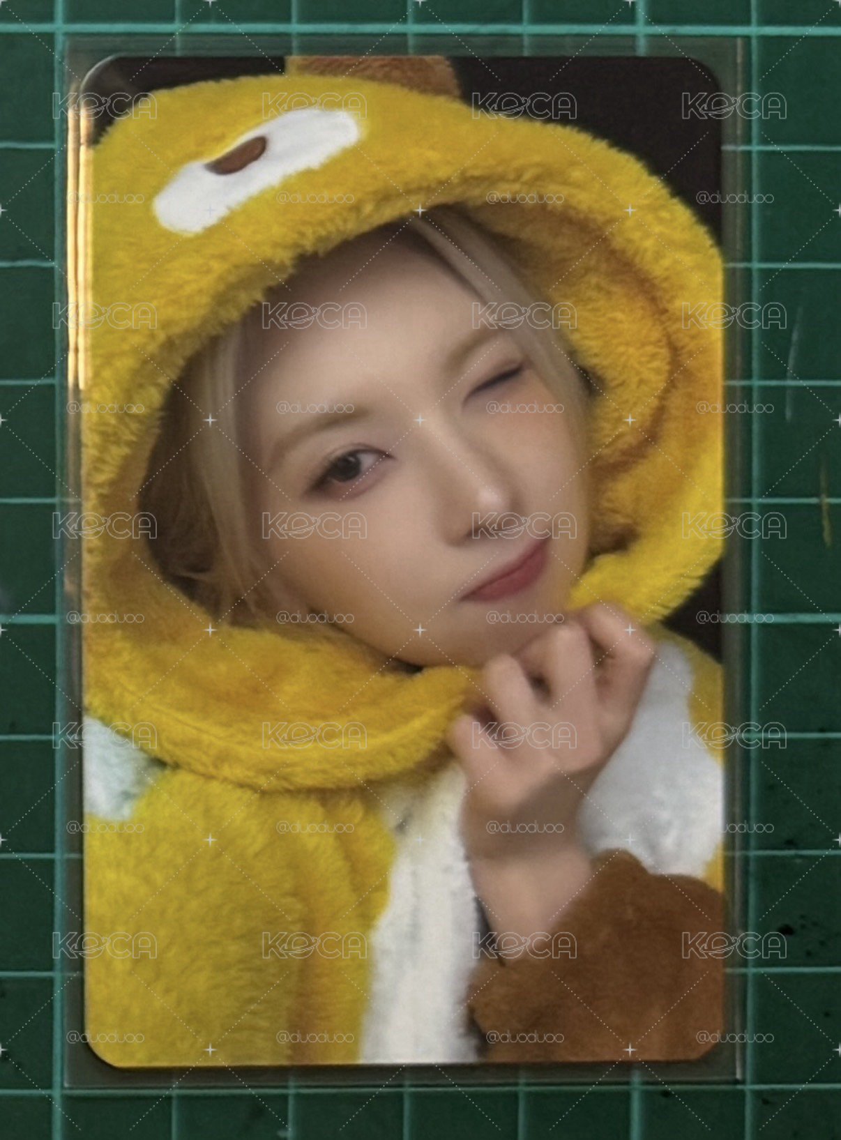ms蜜蜂裴