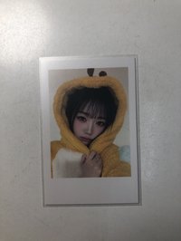黃衣蜜蜂溫
