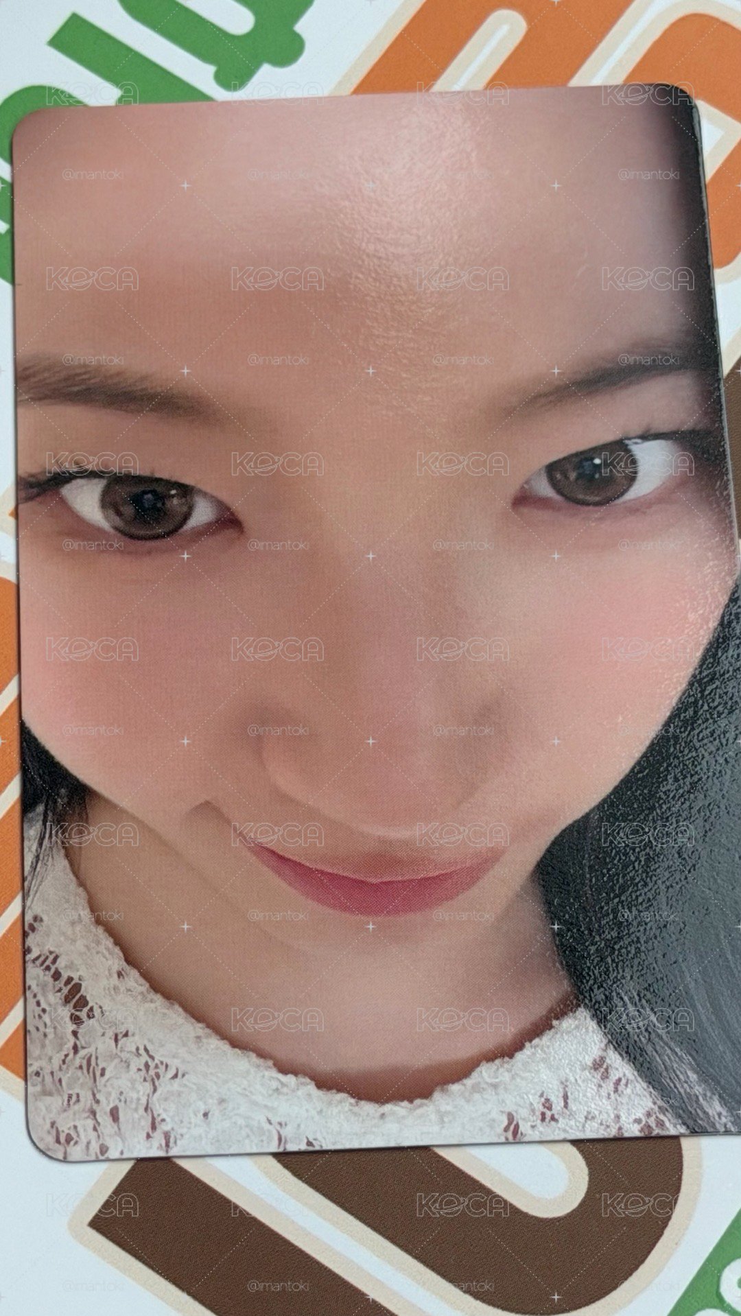日巡粽卡葉