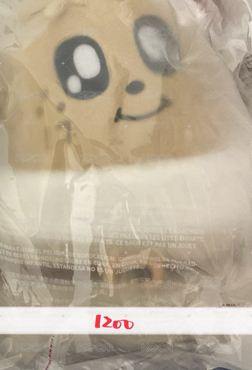 奎小卡+聖誕站娃
