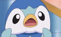 Qin