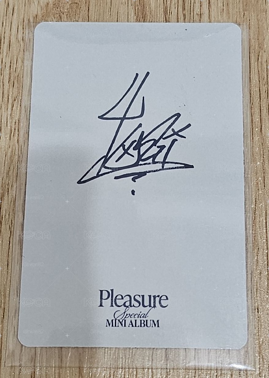 TREASURE PLEASURE YOSHI 🐯