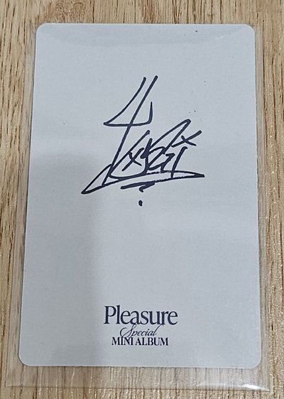 TREASURE PLEASURE YOSHI 🐯