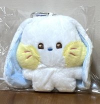 白色 Haerin款