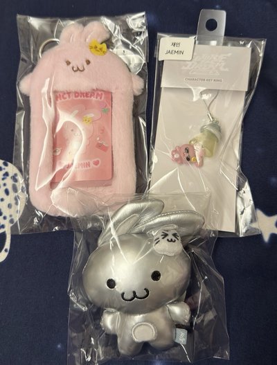 夢秀4娜周邊