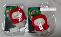 RJ