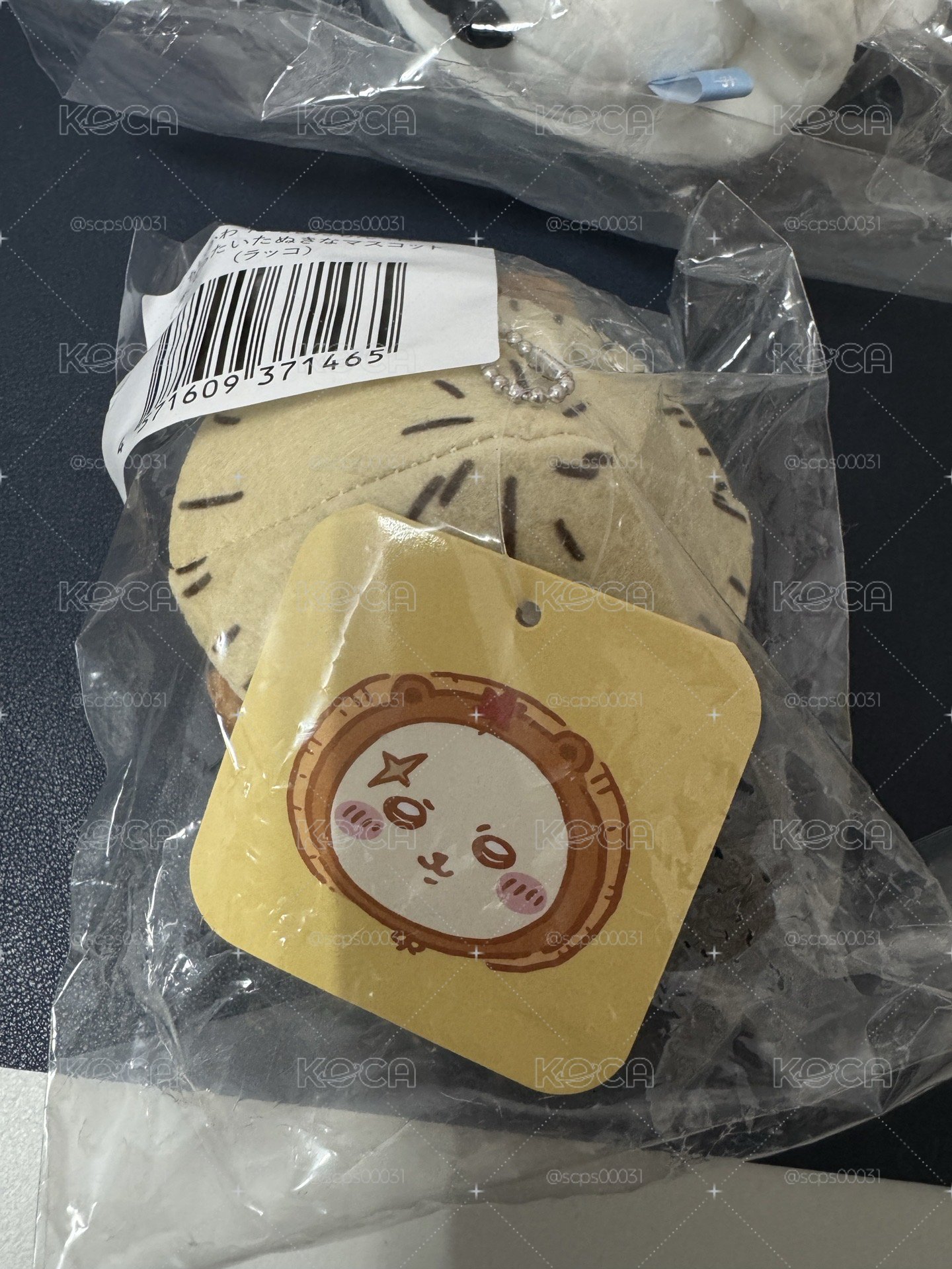 海獺師傅 狸貓一番賞 C賞