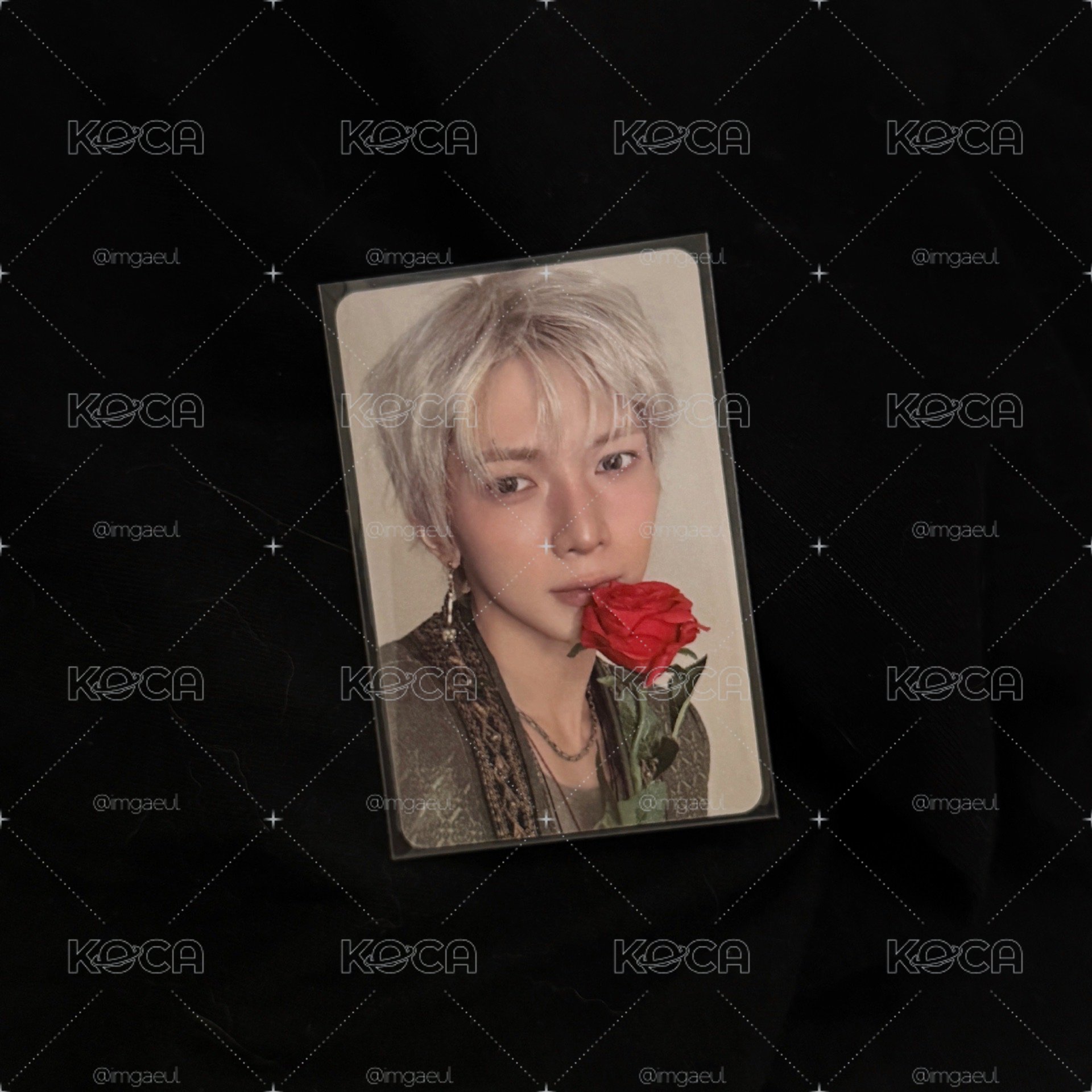 薔薇戰爭尚 🐩