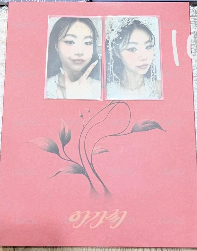 紅版含卡