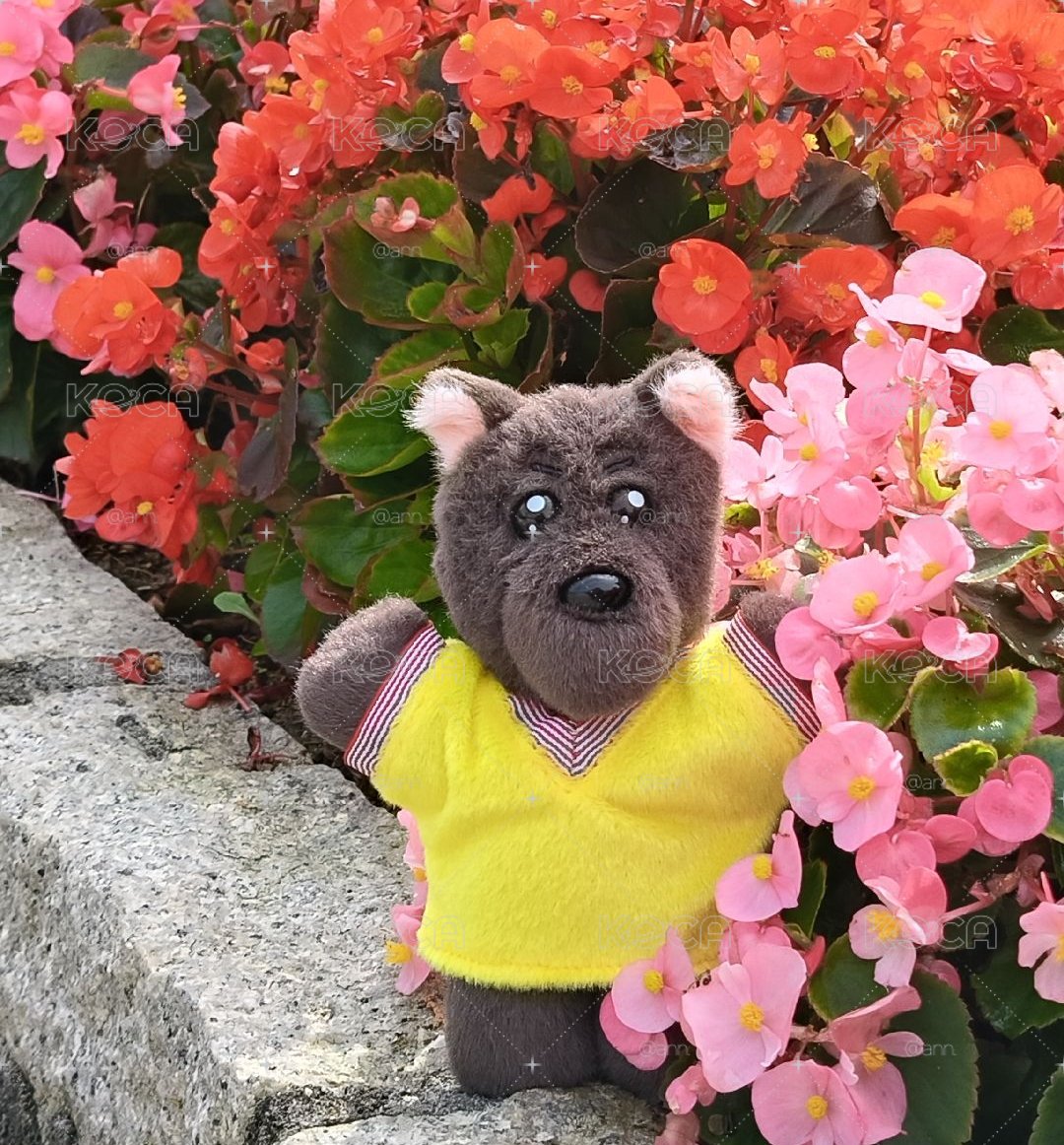 明明一代娃