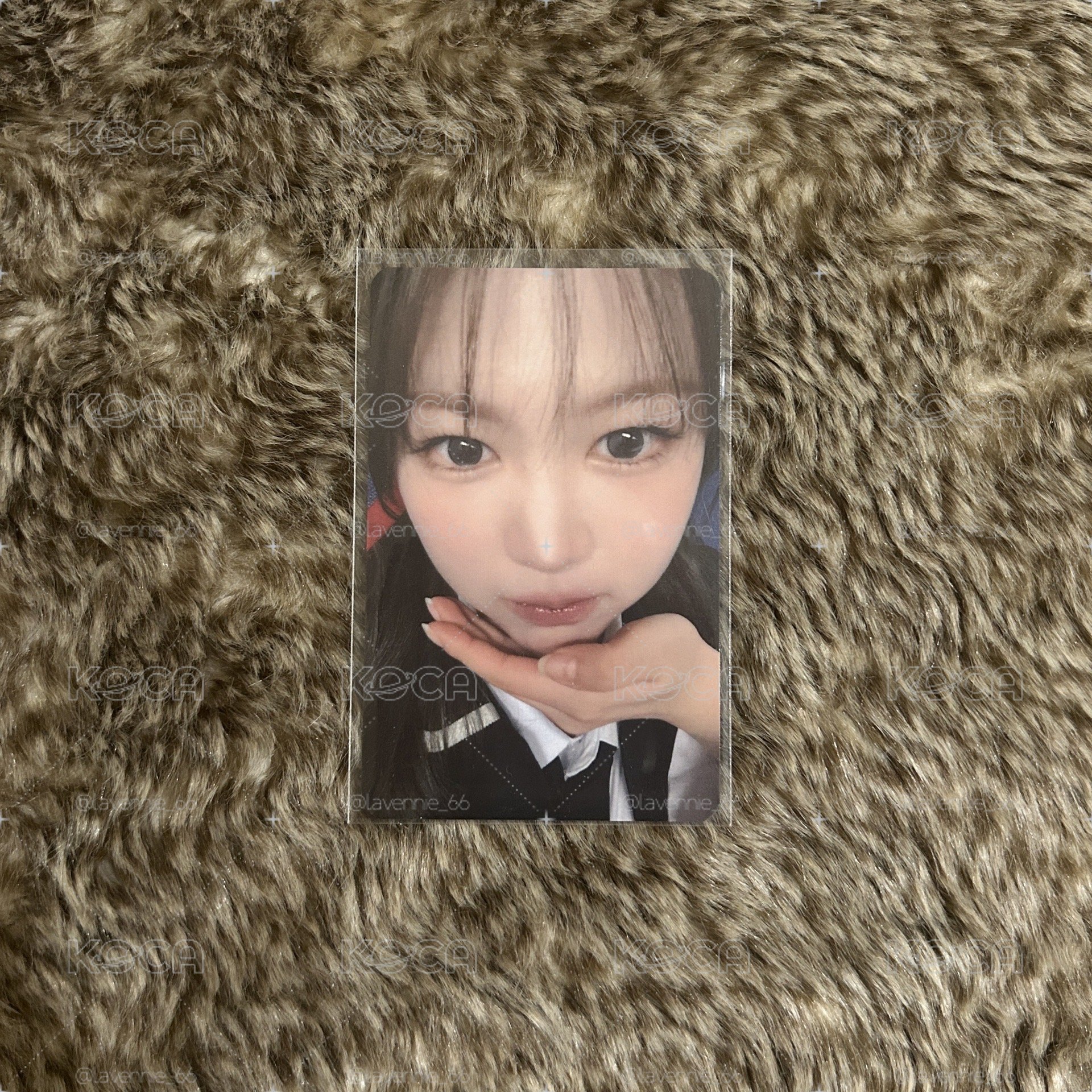 Yeon focus sw簽售卡