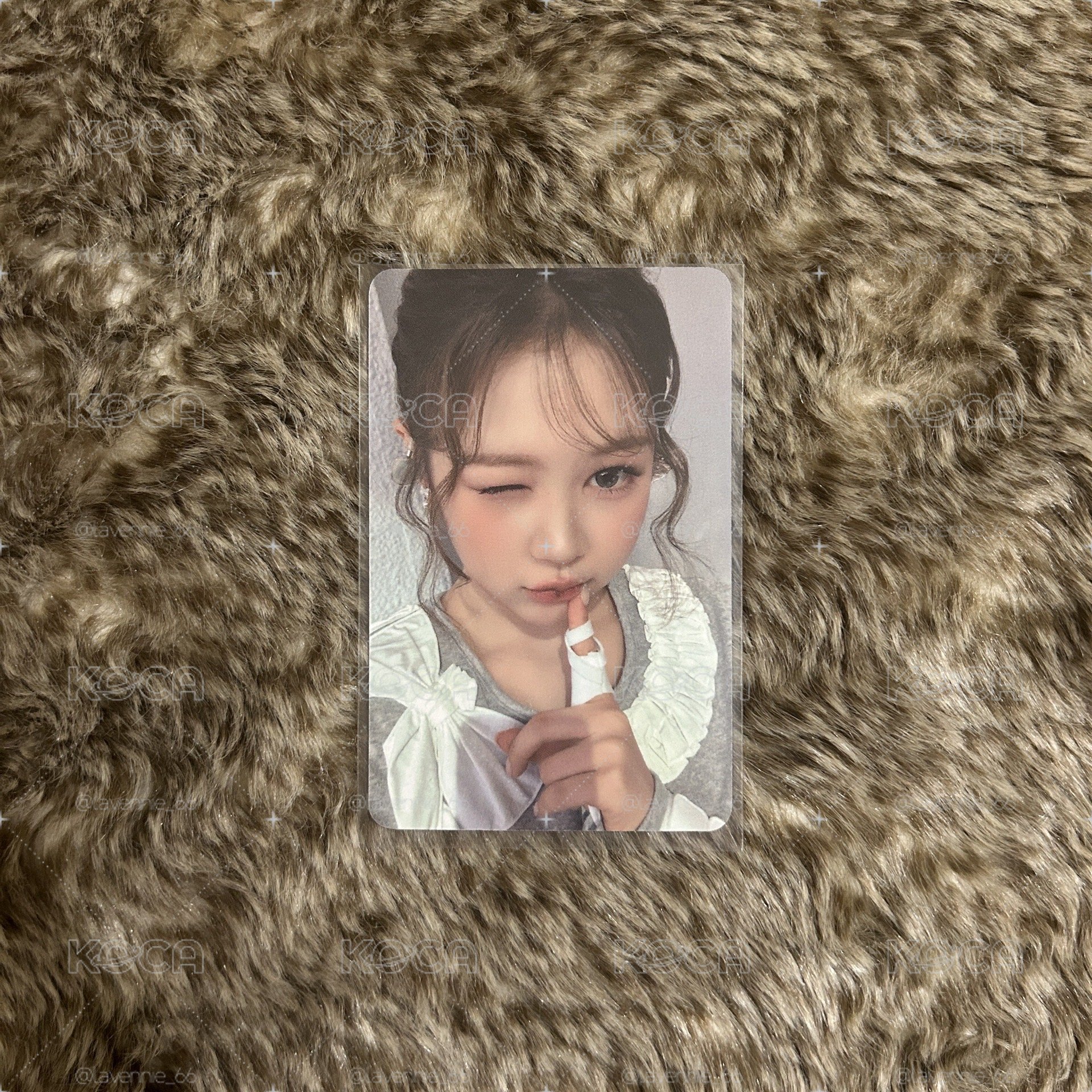 Yeon focus am簽售卡