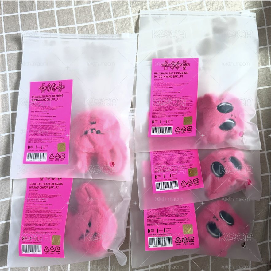 火龍果 黃春 松喵 大頭現貨