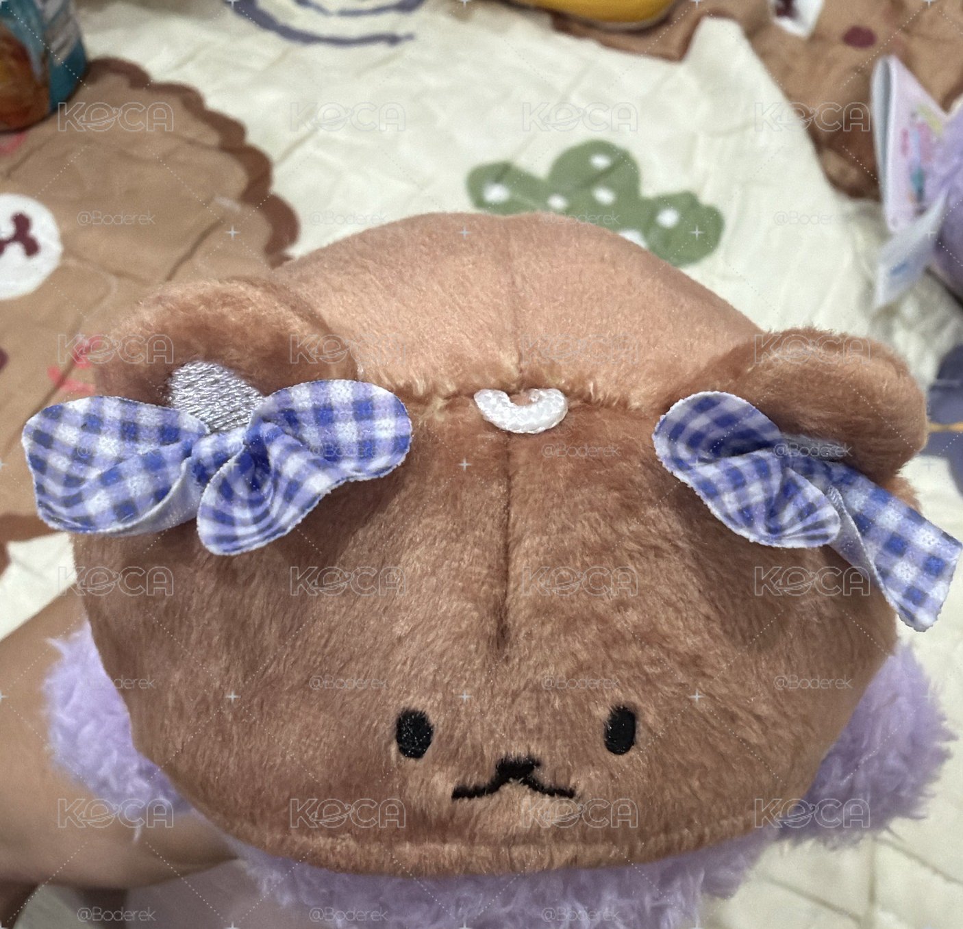ILLIT 2彈care bears娃 現貨