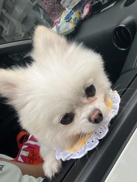 陳鈺璇