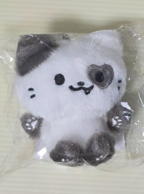 禮志