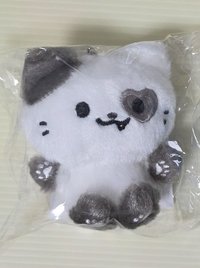 禮志