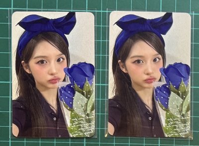 am藍玫瑰 薛