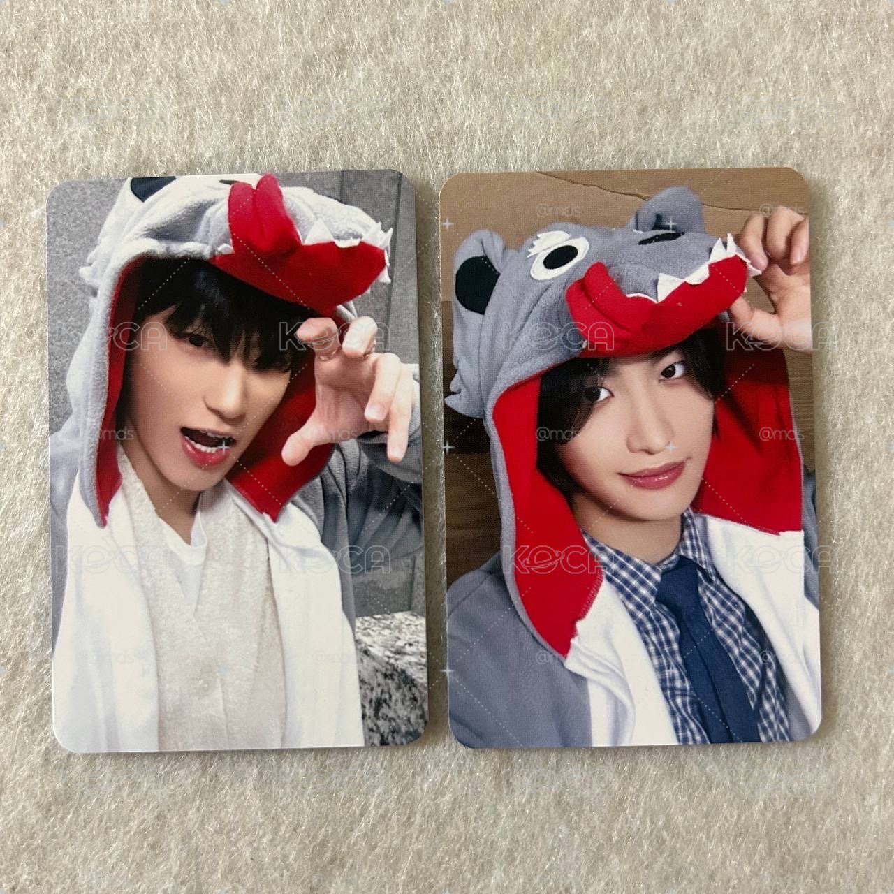 大野狼傘+星化