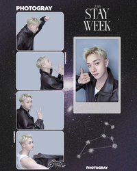 PHOTOGRAY 人生四格卡 / 拍貼 2026 STAY WEEK