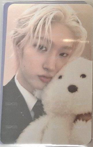 狗狗 琦