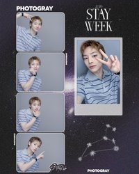 PHOTOGRAY 人生四格卡 / 拍貼 2026 STAY WEEK