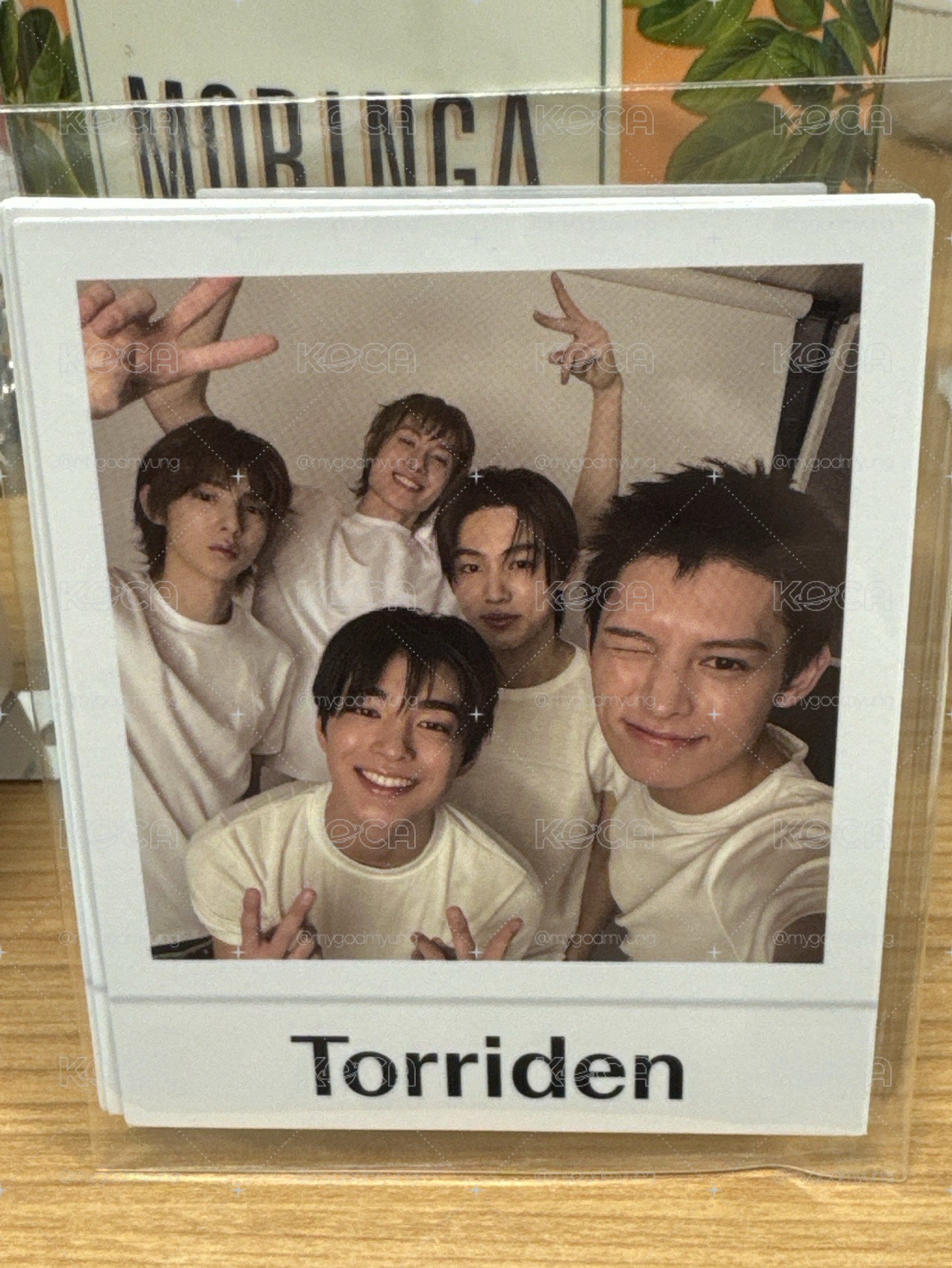 Torriden 代言卡 一組