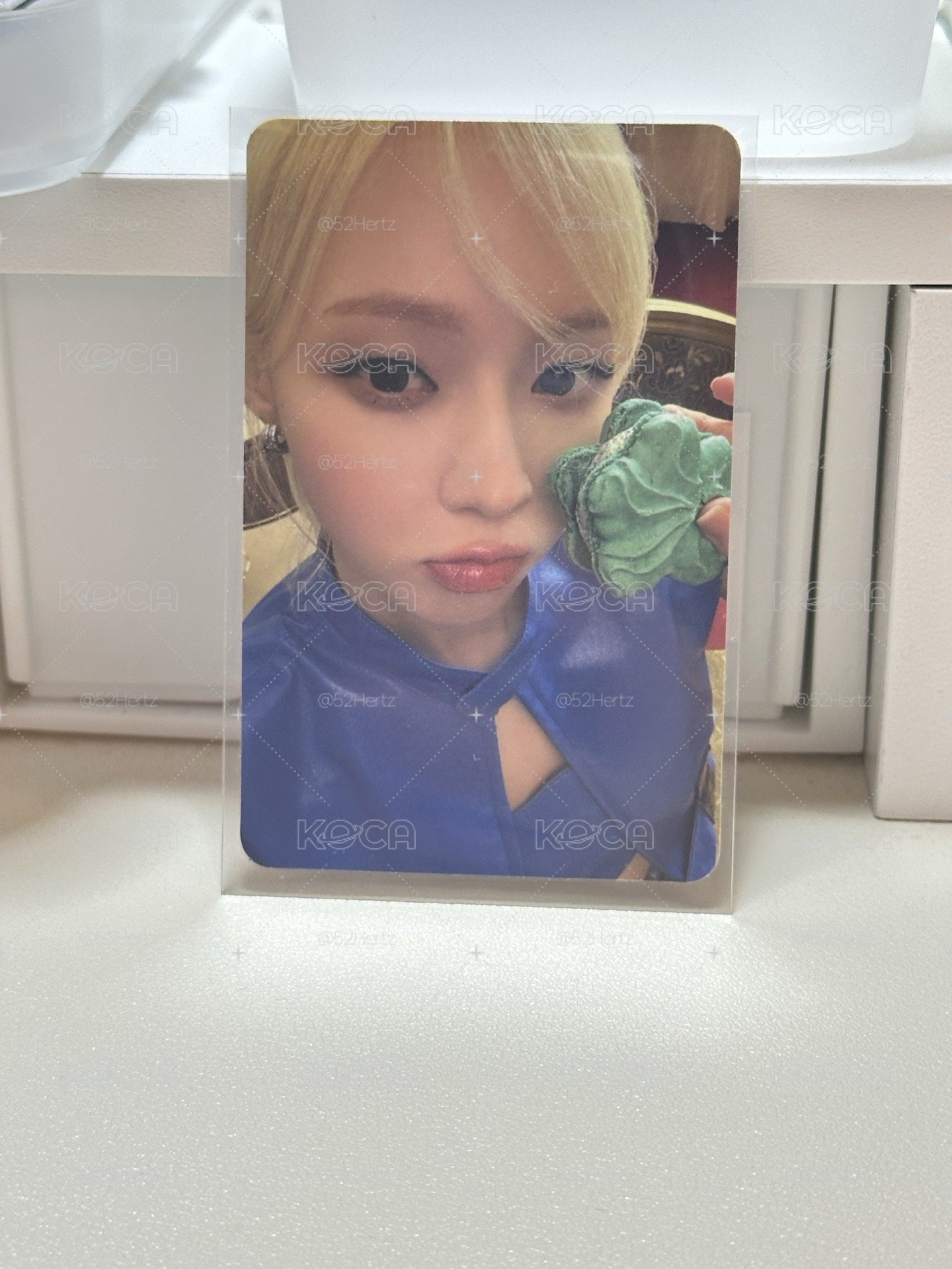 冬卡