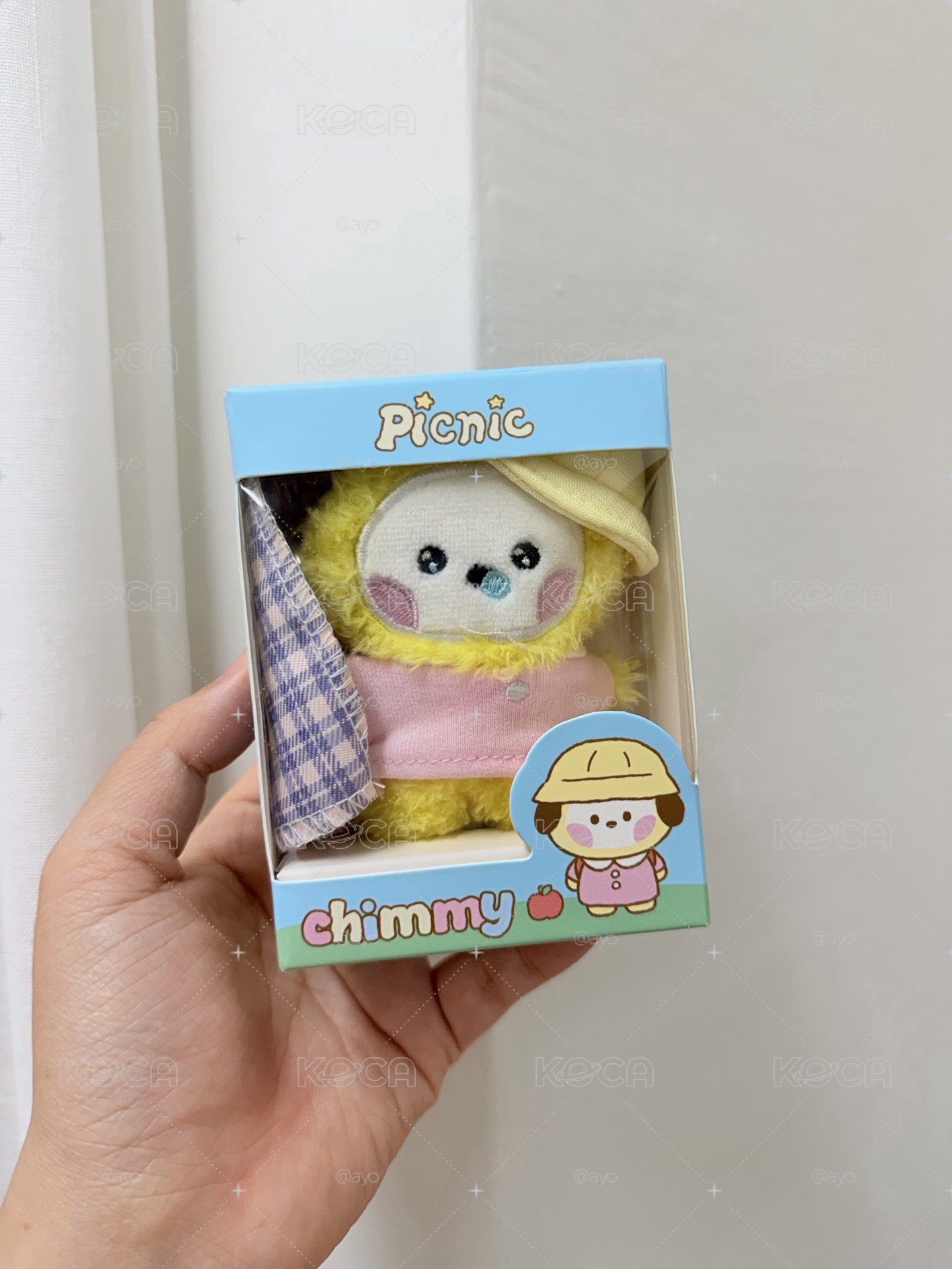 BT21 PICNIC MATE 盒娃