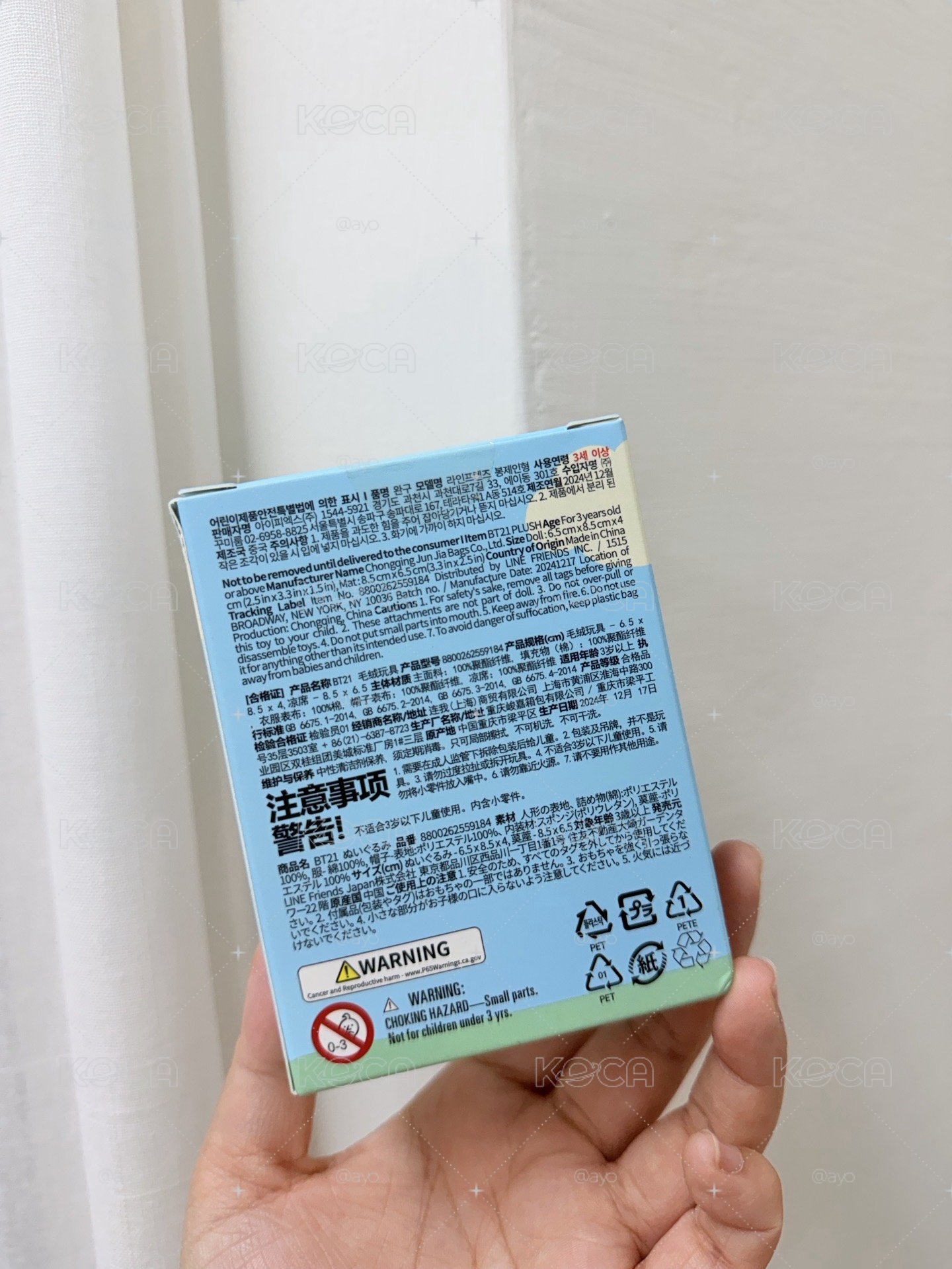 BT21 PICNIC MATE 盒娃