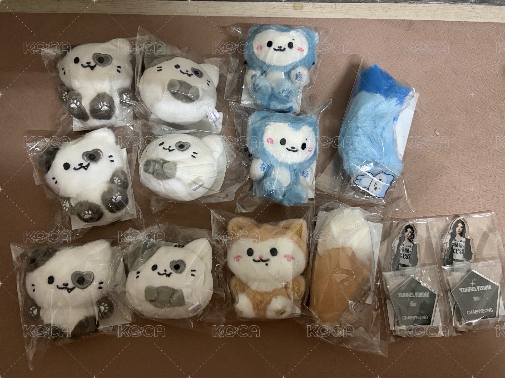 留坐姿
