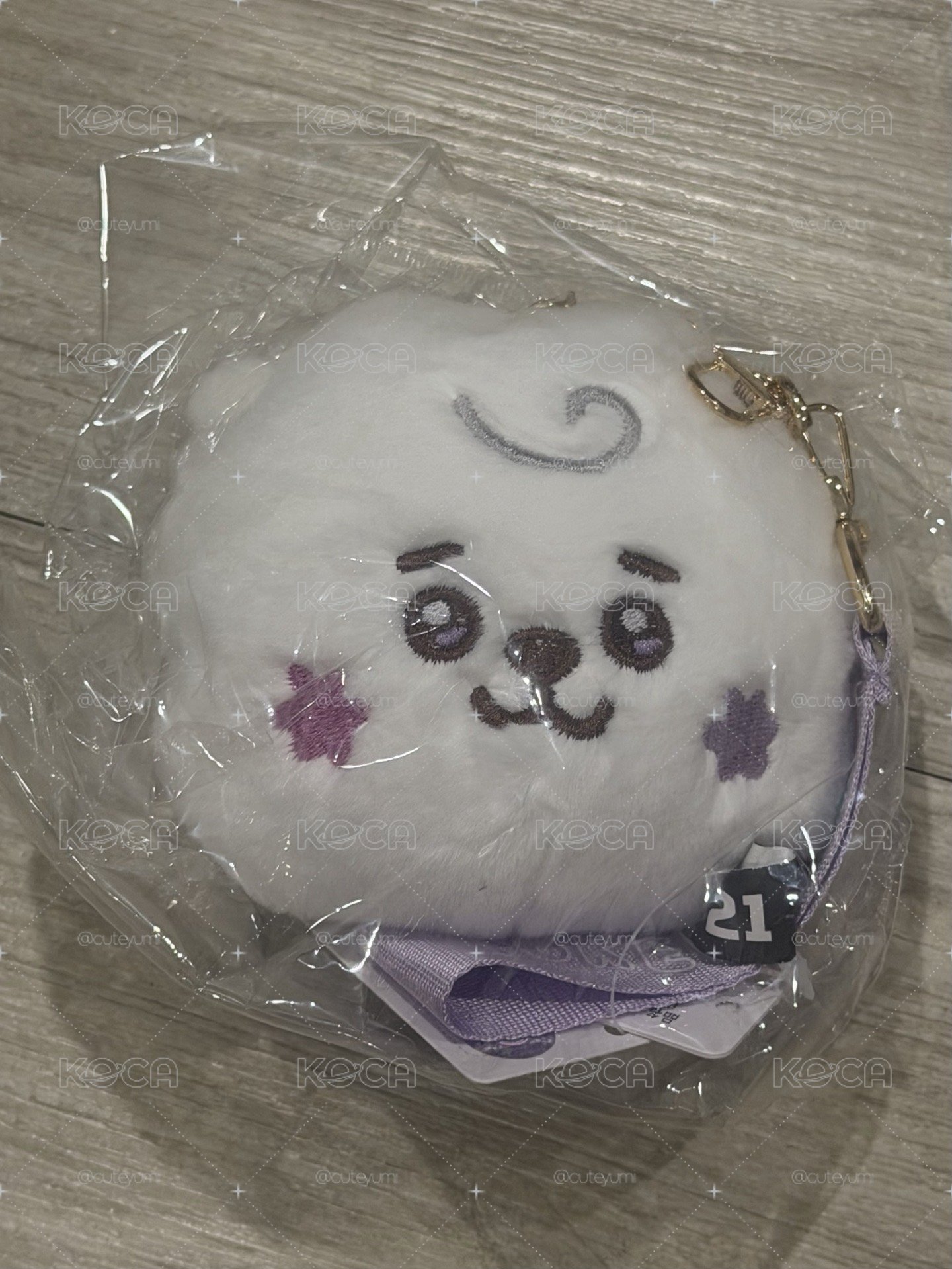 BT21 大頭吊娃 流星系列 RJ Mang TATA
