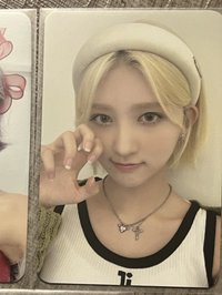 br 貓爪秋