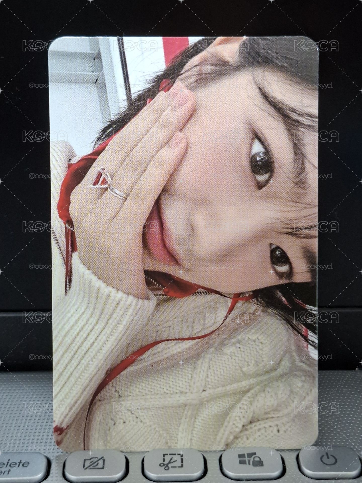 安狗狗盯著你