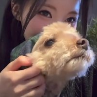 杏紗的狗🖤 Enami Happy 