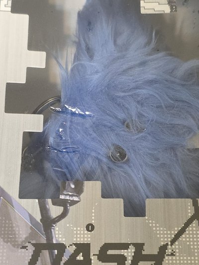 break水母專未拆 薛