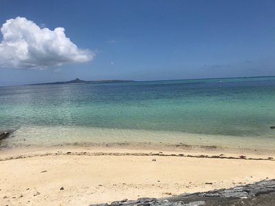 露塔茶柒散卡