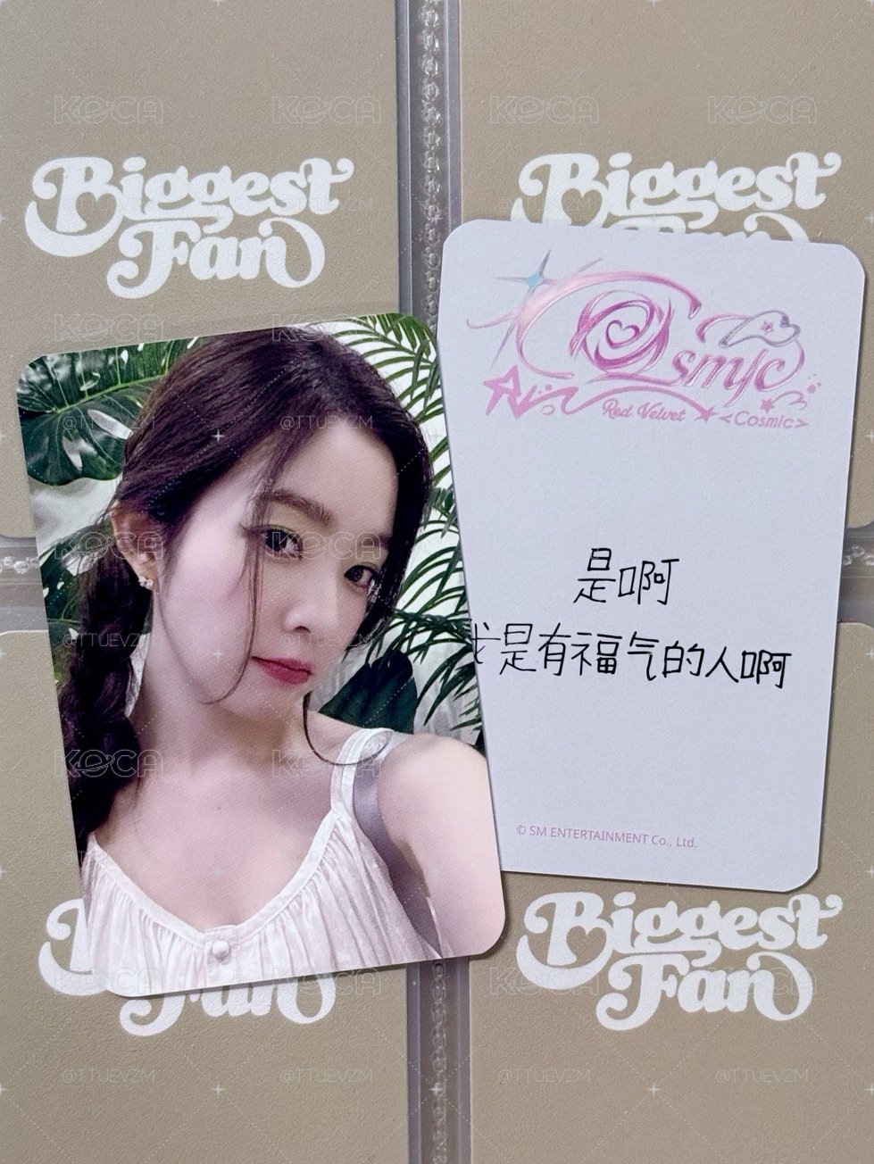 IRENE SR1.0幸運卡 中文卡背