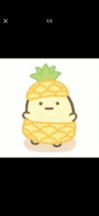 邵邵