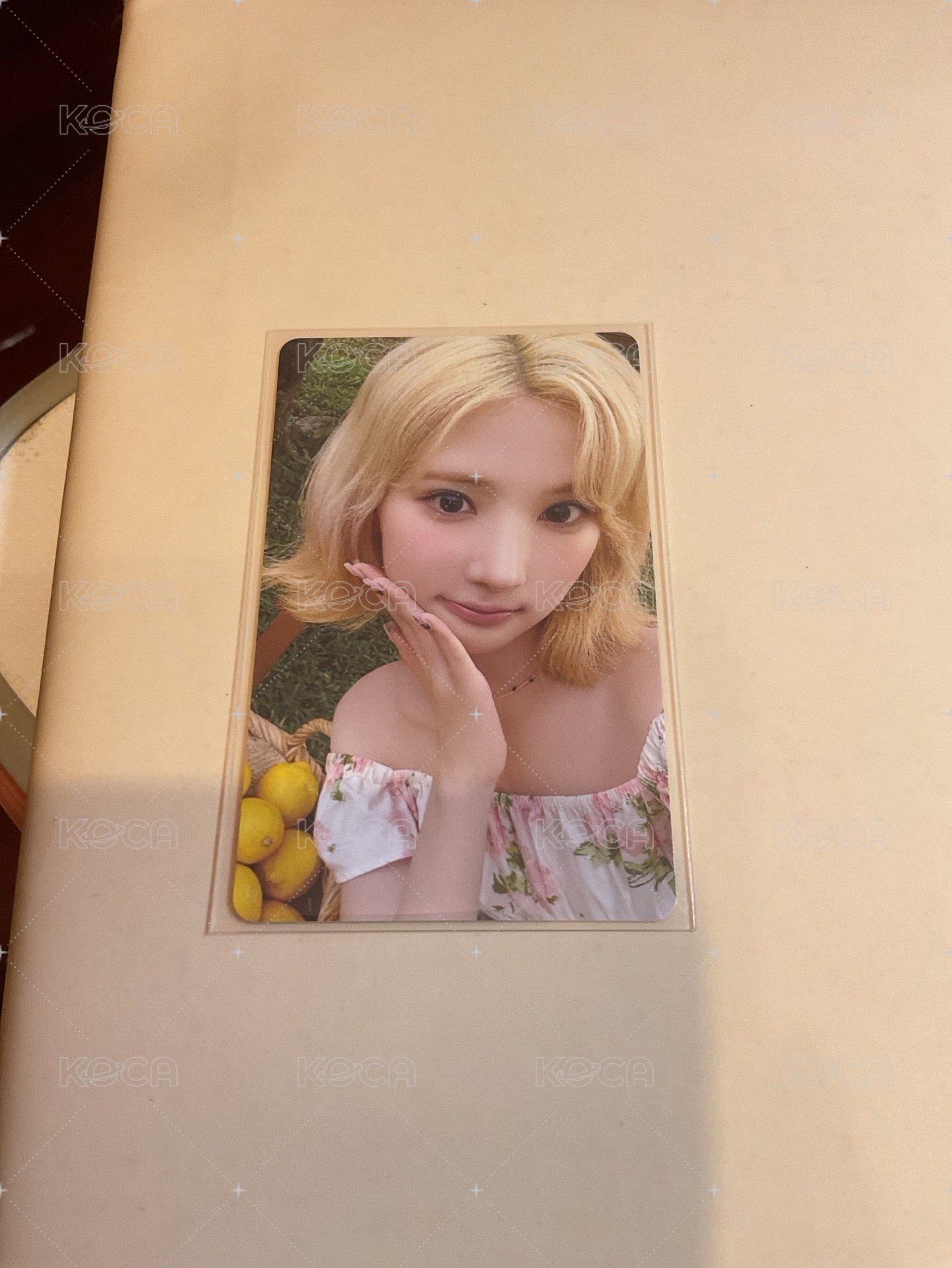 塔店jiwoo