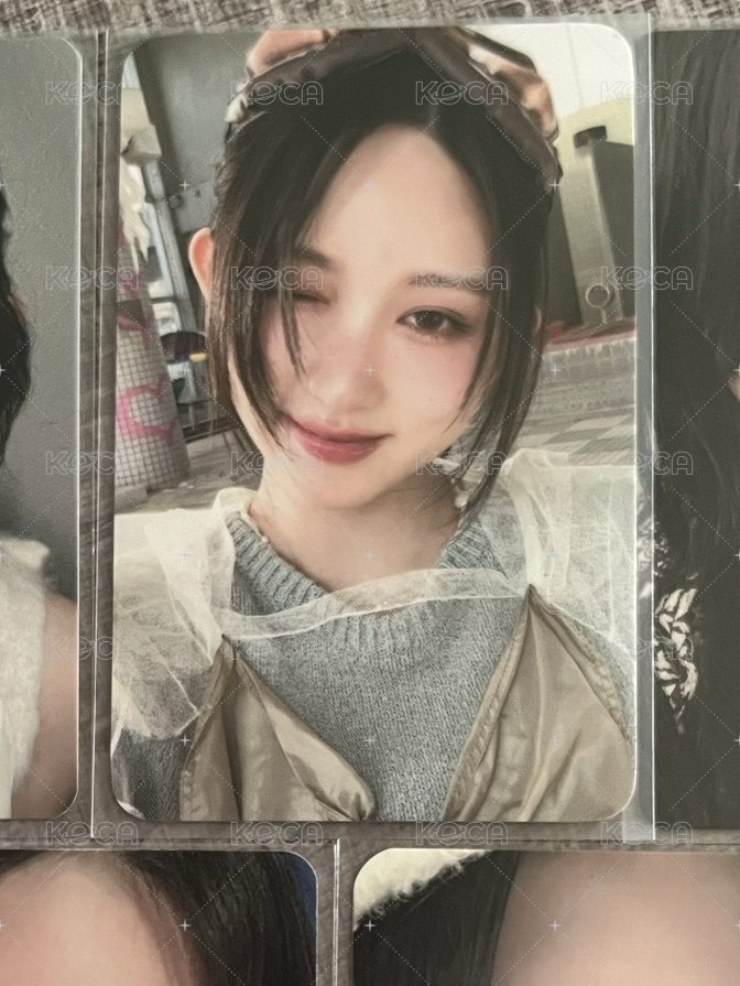 mv秋 