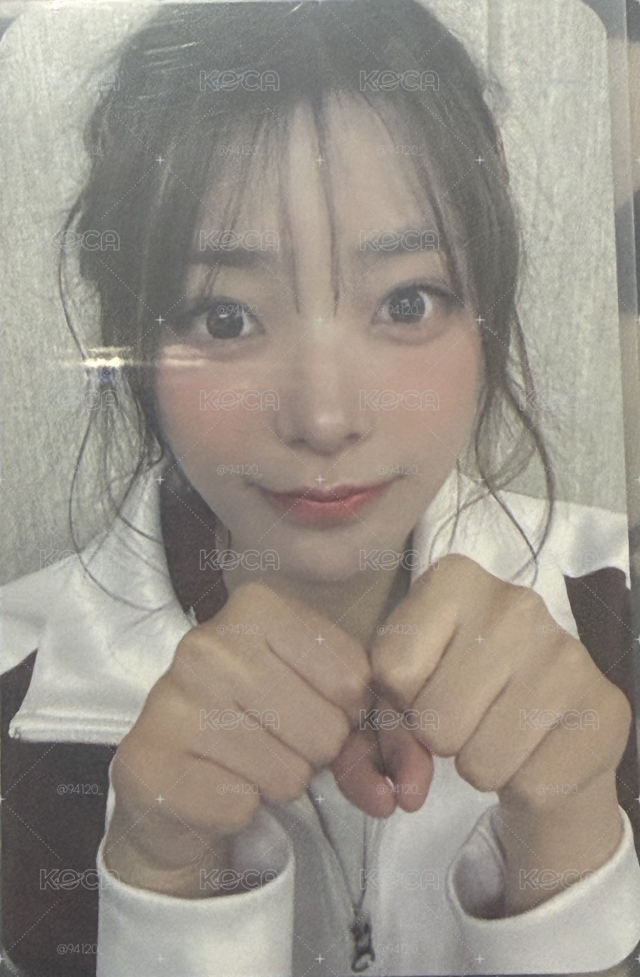 貓拳燕