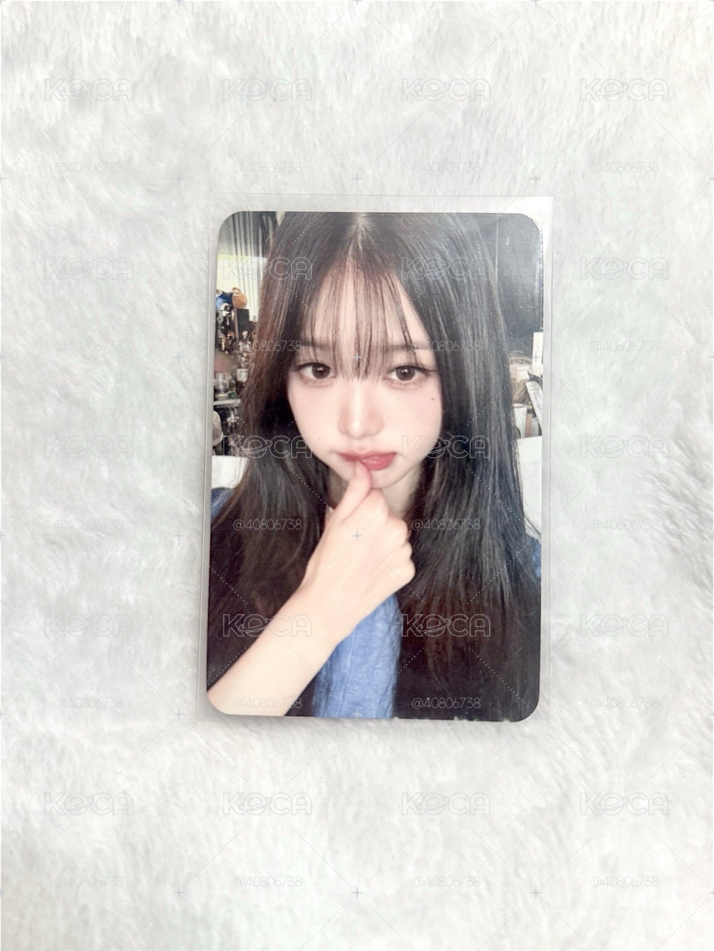 藍莓員🫐