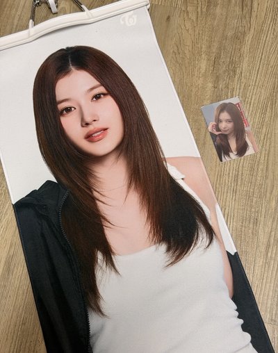 TWICE SANA 新國立手幅